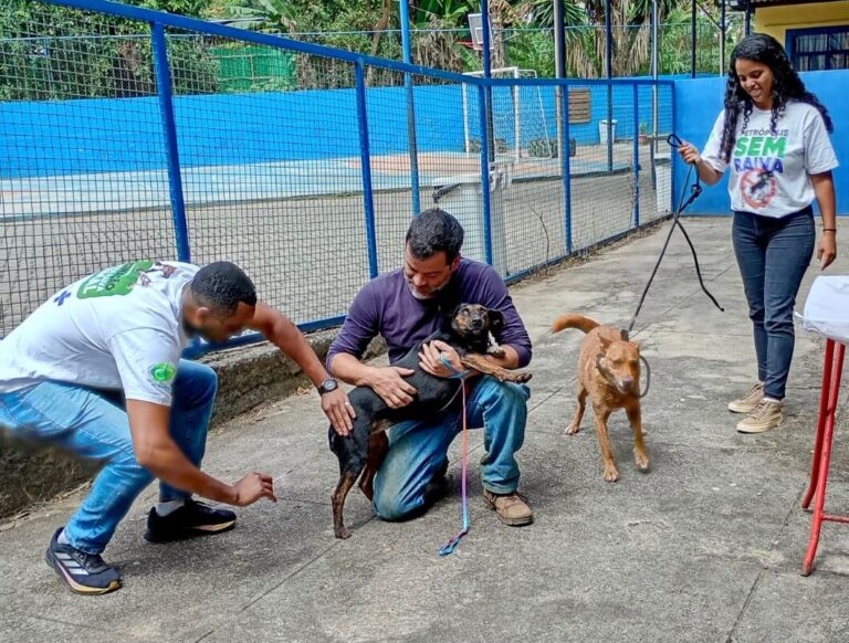 Prefeitura vacina mais de 90% dos cães e gatos na primeira etapa de vacinação antirrábica