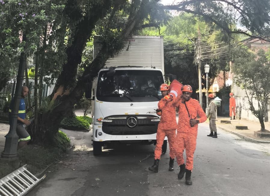 Comunicado CPTrans: queda de árvore interdita Rua Dom Pedro e itinerário de linhas de ônibus é alterado
